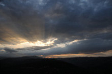 wisps